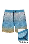 Erkek Deniz Şortu Fermuarlı Cepli File Astarlı Hızlı Kuruyan Premium - Çok Renkli Erkek Deniz Şortu Fermuarlı Cepli File Astarlı Hızlı Kuruyan Premium - Çok Renkli