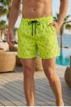 Erkek Deniz Şortu Fermuarlı Cepli File Astarlı Hızlı Kuruyan Premium - Neon Yeşili Erkek Deniz Şortu Fermuarlı Cepli File Astarlı Hızlı Kuruyan Premium - Neon Yeşili