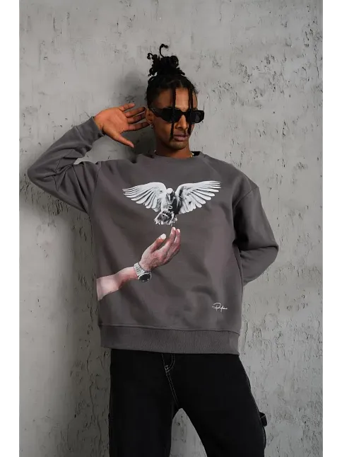 Erkek Güvercin Baskılı 3 İplik Pamuklu Bisiklet Yaka Sweatshirt - Gri