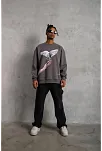 Erkek Güvercin Baskılı 3 İplik Pamuklu Bisiklet Yaka Sweatshirt - Gri
