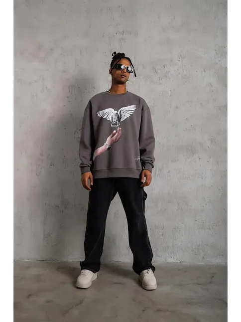 Erkek Güvercin Baskılı 3 İplik Pamuklu Bisiklet Yaka Sweatshirt - Gri