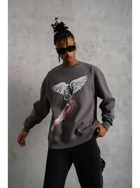 Erkek Güvercin Baskılı 3 İplik Pamuklu Bisiklet Yaka Sweatshirt - Gri
