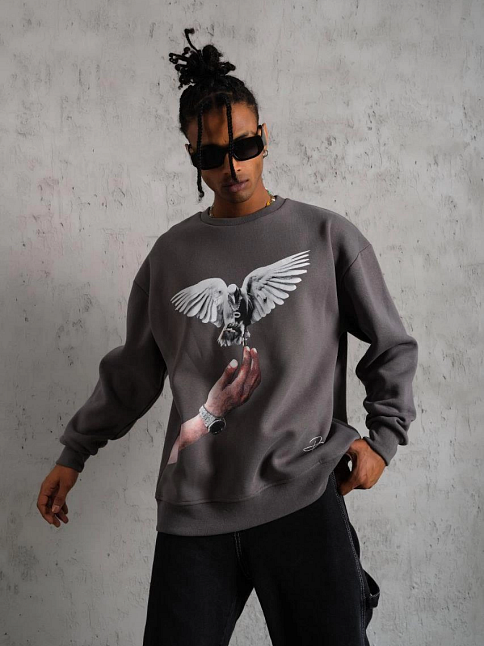 Erkek Güvercin Baskılı 3 İplik Pamuklu Bisiklet Yaka Sweatshirt - Gri