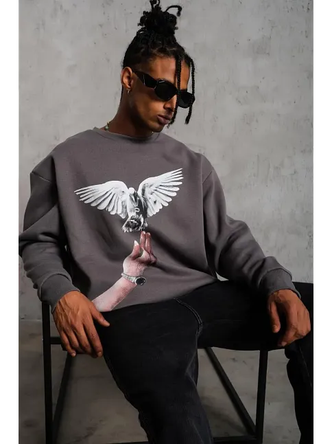 Erkek Güvercin Baskılı 3 İplik Pamuklu Bisiklet Yaka Sweatshirt - Gri