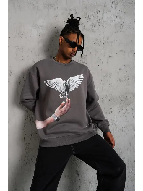 Erkek Güvercin Baskılı 3 İplik Pamuklu Bisiklet Yaka Sweatshirt - Gri