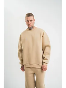 Erkek Uzun Kol Bisiklet Yaka 3 İplik Pamuklu Kışlık Sweatshirt  - Bej