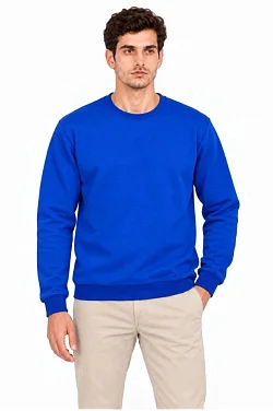 Erkek Bisiklet Yaka İçi Şardonlu 2 İplik Düz Uzun Kollu Regular Fit Sweatshirt - Mavi Erkek Bisiklet Yaka İçi Şardonlu 2 İplik Düz Uzun Kollu Regular Fit Sweatshirt - Mavi