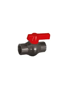 1"1/4 Plastik Vana (29013)